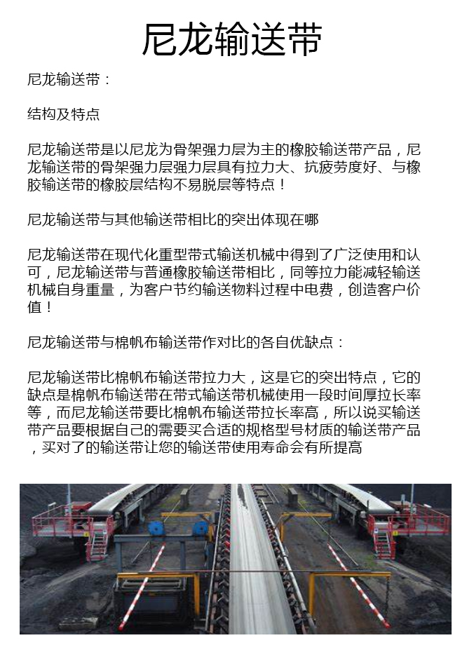 耐寒尼龙输送带厂家 耐寒尼龙输送带厂家